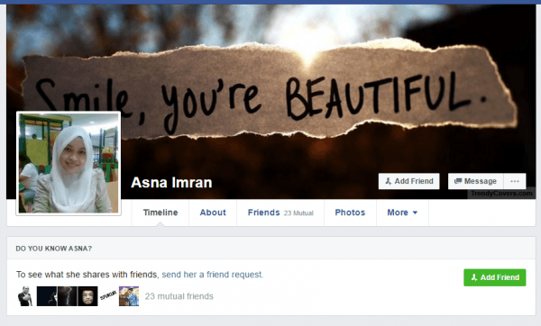 asna_fake_troll